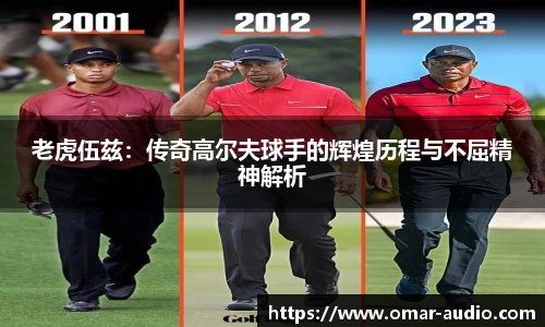 老虎伍兹：传奇高尔夫球手的辉煌历程与不屈精神解析