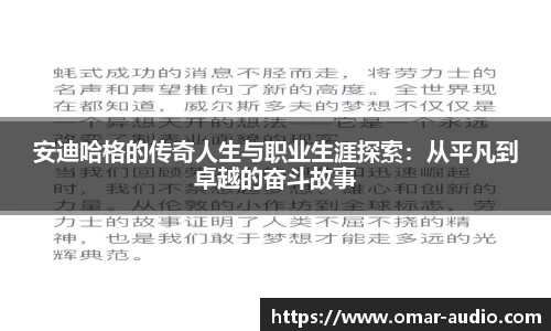 安迪哈格的传奇人生与职业生涯探索：从平凡到卓越的奋斗故事